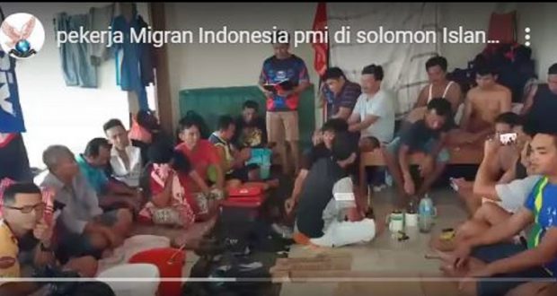 101 Pekerja Migran Indonesia Butuh pertolongan di Solomon Islands